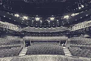 The Gillian Lynne Theatre auditorium